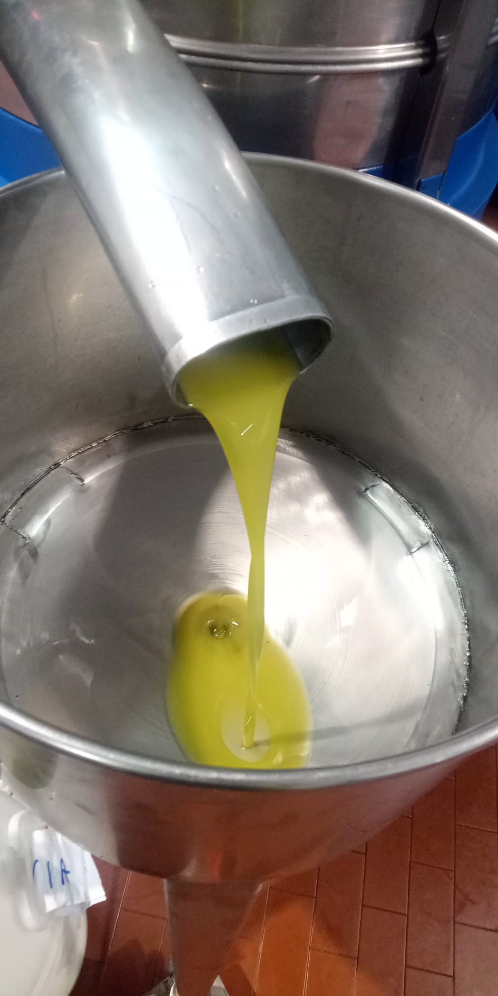 L'olio sublime che esce dal frantoio