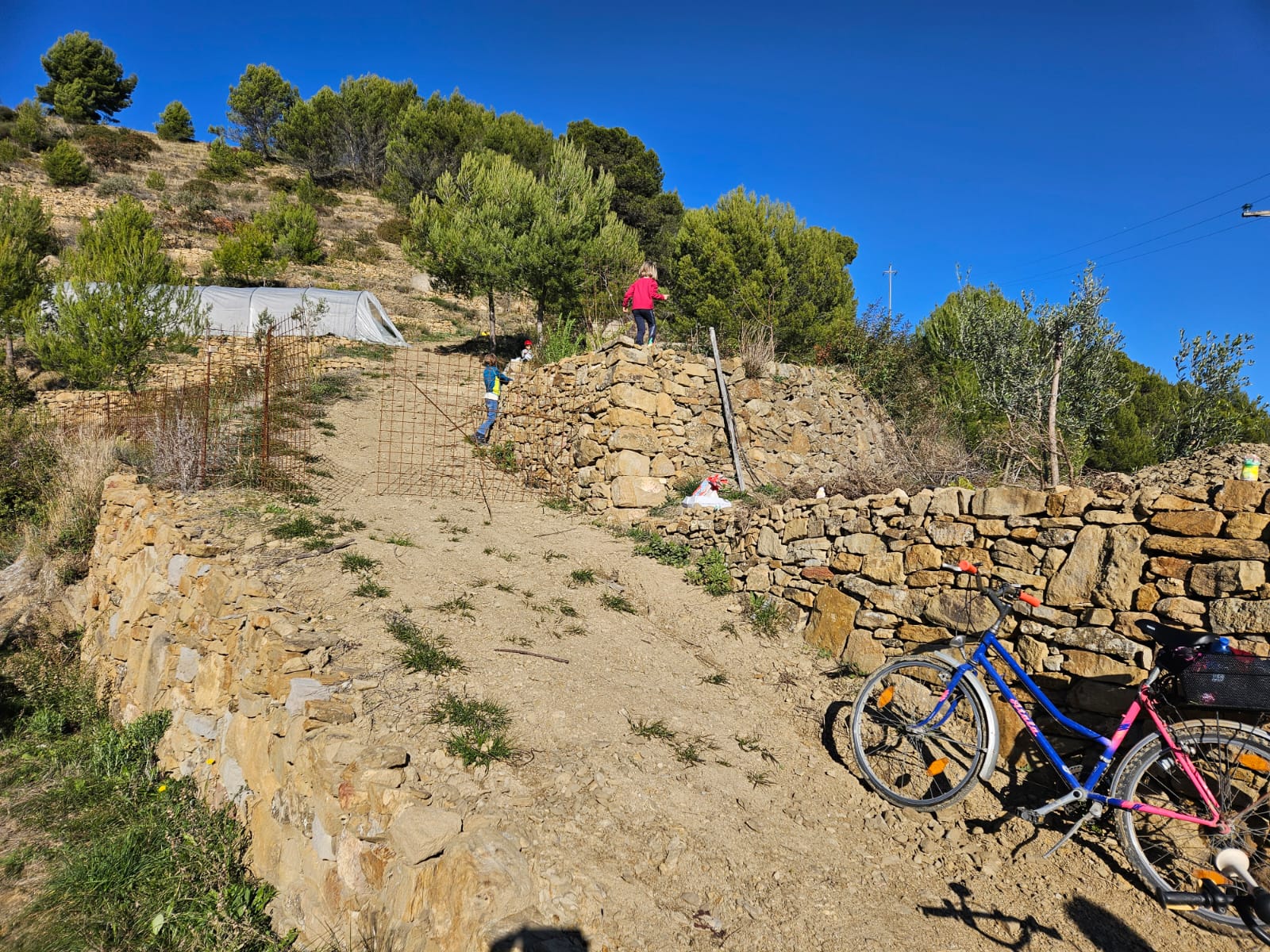 in bici al terreno